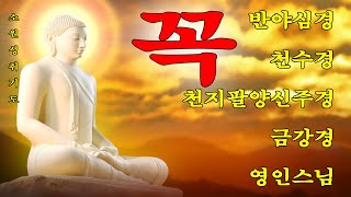 대운과 큰 복을 불러오는 불경 🙏 나에게 대운과 큰 복이 가득 들어온다 🙏🌷🌻💦 반야심경,천수경,천지팔양신주경,금강경, 영인스님