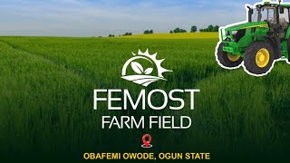 Unlock Your Agricultural Potential in Nigeria: Land for Sale at Femost Farm Field