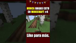 Cosas que NUNCA Deberías Hacer en Minecraft: hacer una azada de diamante