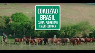 A importância da rastreabilidade e transparência na cadeia de commodities