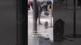 Toman temperatura a perrito que quiere entrar a tienda de ropa