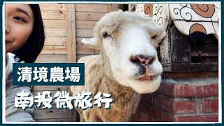 陳氏Vlog | 清境農場看綿羊秀、凡賽斯民宿、魚池鹿篙咖啡莊園