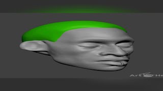 Head Sculpting: Tips for Beginners