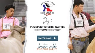 Harris County Fair and Rodeo 2024 - Prospect Steers, Showmanship, Cattle Costume Contest