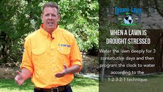 What is Wrong With This Lawn? Brown Spots, Crop Circles, Clumps! - Diagnosing Lawns with Brad