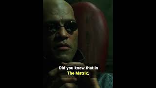 Did You Know That In THE MATRIX..