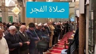 صلاة الفجر من المسجد الاقصى المبارك للشيخ يوسف ابو سنينة | الاحد 3-11-2024م