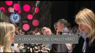 La Leggenda del Gallo Nero su TGR