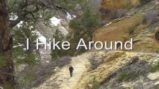 Zion National Park Hike Observation Point Preview