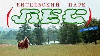 Кому помешал Битцевский лес? | че там было раньше и что останется через пару лет