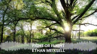 Ethan Meixsell - Fight or Flight | No Copyright Music