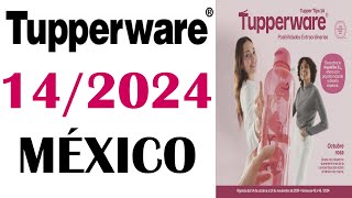 CATALOGO TUPPERWARE TUPPER TIPS 14 / 2024 MÉXICO