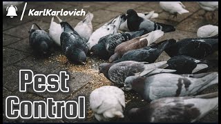 Хороним Бича Зернохранилищ | Pest Control - Shooting Pigeons At The Granary