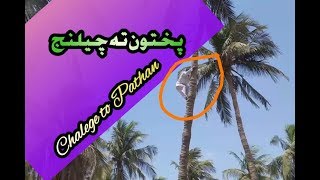 Pashtoon Talent || Pashto World