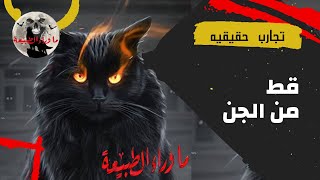 تجارب حقيقيه_ قط من الجن _ قصص رعب ما وراء الطبيعة