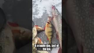 A nice crappie day to end Vt ice season 2024