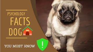 Psycological facts about dog