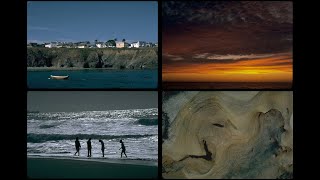 144049 California Coasts SSTV PD120