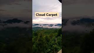 Cloud Carpet in Sapit Borneo