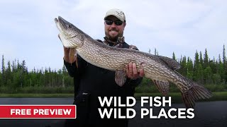 Wild Fish, Wild Places | Argentina Giant Brook Trout | Free Episode | MyOutdoorTV