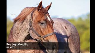 2023 NCHA Western Bloodstock Futurity Sale Lot #1053 Rey Jay Metallic Consigned by Fons DeBarbanson