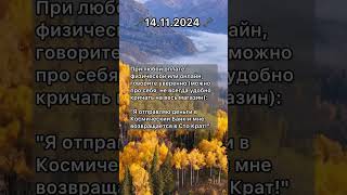 КлюЧисла дня🗝14.11.2024От ЦифрАведа Милены Осиповой ТМ КлюЧисла #нумерология #прогноз #руны