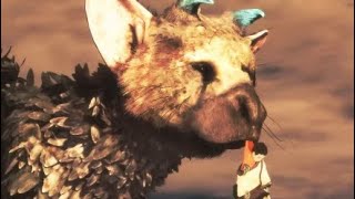 The Last Guardian- Ending and Post Credits Scene