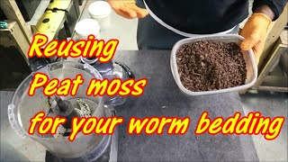 Reusing Peat moss for your worm bedding