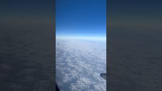 flight movement #shorts #trending #views #viral