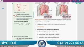 Karacan TV - Biyoloji / Solunum Sistemi