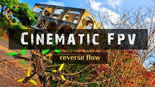 Cinematic Fpv | Reverse Flow