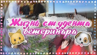 Жизнь студента-ветеринара | 1 КУРС