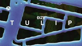 ĐIZE - Tulip