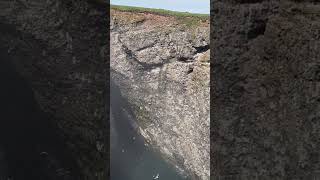 Fowlsheugh Cliffs Near Stonehaven #scotland #cliff #seabirds