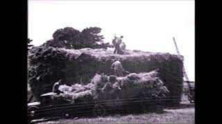 Geelong, Corio Bay, hay stack building &  farming in Ceres in the 1930s