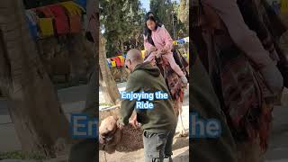 CAMEL RIDE #shortvideo #adventure #journey #israel