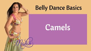 Belly Dance Hip Rolls - Camels