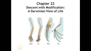 Unit 6 Evolution #1: Chapter 22 Descent with Modification: A Darwinian View of Life