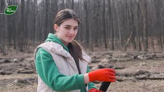 В Міжнародний День лісів розпочинаємо весняну лісокультурну кампанію