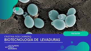 Biotecnología de levaduras