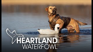 Heartland Waterfowl | Back In The Saddle | Free Episode | MyOutdoorTV