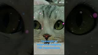 милейшие котики🐱😍 # помогите набрать 140 подписчиков