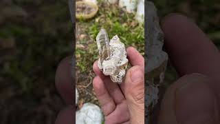 Clear Quartz #quartz #quartzcrystals #minerals #gemstone #youtube