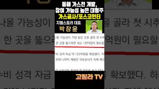 한국가스공사, 포스코인터내셔널, 동해 가스전 모멘텀으로 6월 급등 → 급락 → 최근 반등, 현황은?  #주식 #경제 #시황