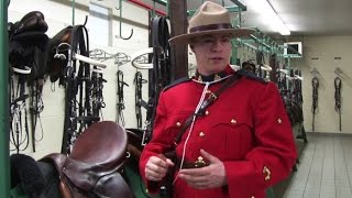 Why be a part of the RCMP's Musical Ride?