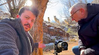 AÇ KURTLAR VE YAVRU VAŞAKLAR FOTOKAPANIMA YAKALANDI!