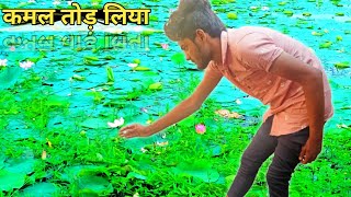 Aaj Aaye Kamal Ka Phool Todne || Vlog Video