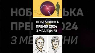 МікроРНК. Нобелівська премія з медицини 2024