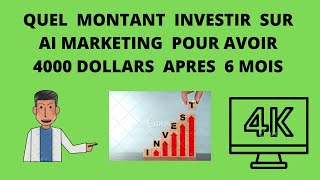 AI MARKETING  : COMBIEN  FAUT IL  INVESTIR  POUR   AVOIR  4000 DOLLARS  APRES  6 MOIS