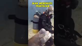 Ikan Yang Sok Akrab#Short